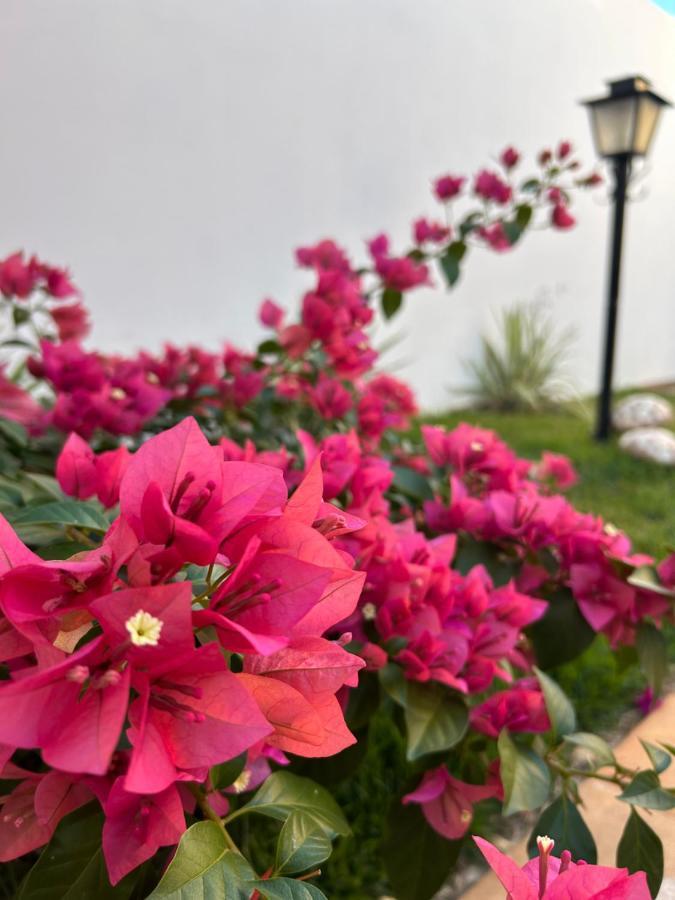 Casa Olimpia Sp Villa Eksteriør bilde